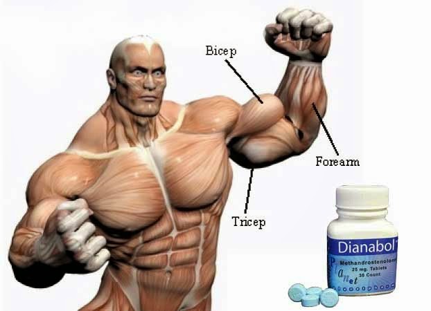 effects-of-Dianabol-20.jpg