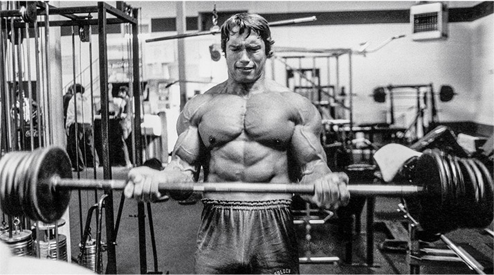 arnold-schwarzeneggers-training-program.jpg